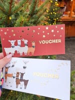 Voucher na spacer z alpakami - świąteczny wzór