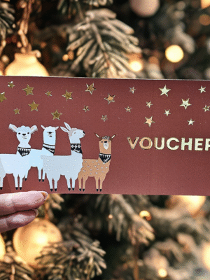 Voucher na spacer z alpakami - świąteczny wzór