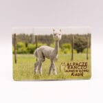 Magnes z alpaką Kazik