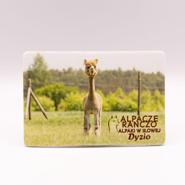 Magnes z alpaką Dyzio