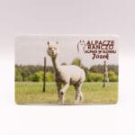 Magnes z alpaką Józek