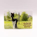 Magnes z alpaką Gustaw