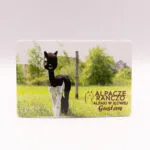 Magnes z alpaką Gustaw