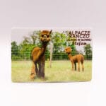 Magnes z alpaką Stefan