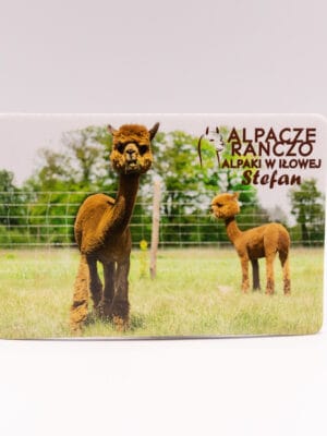 Magnes z alpaką Stefan