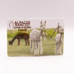 Magnes z alpaką Lucek