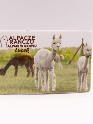 Magnes z alpaką Lucek