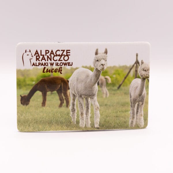 Magnes z alpaką Lucek