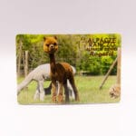 Magnes z alpaką Rogalik