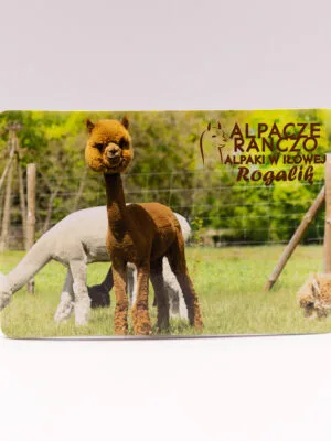 Magnes z alpaką Rogalik