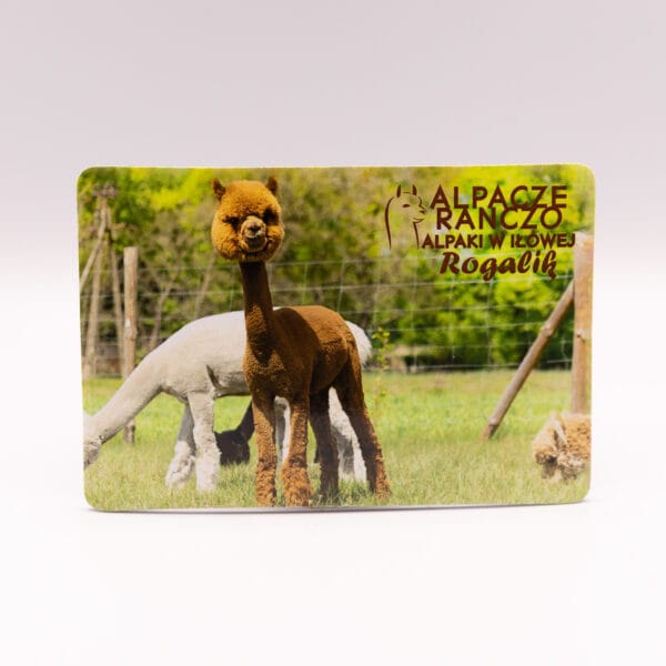 Magnes z alpaką Rogalik