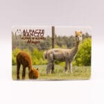 Magnes z alpaką Hugo