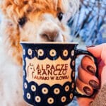 Zestaw prezentowy – kubek i dwie świeczki sojowe