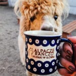 Kubek ręcznie malowany Bolesławiec „Alpacze Ranczo” 350 ml