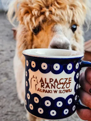 Kubek ręcznie malowany Bolesławiec „Alpacze Ranczo” 350 ml