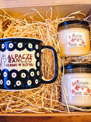 Zestaw prezentowy – kubek i dwie świeczki sojowe