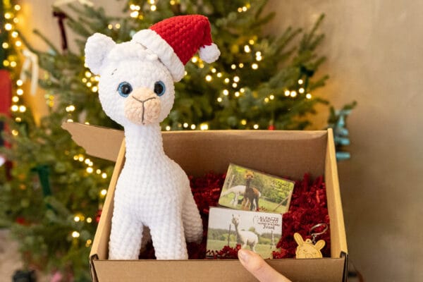 Zestaw prezentowy dla dziecka z alpaką