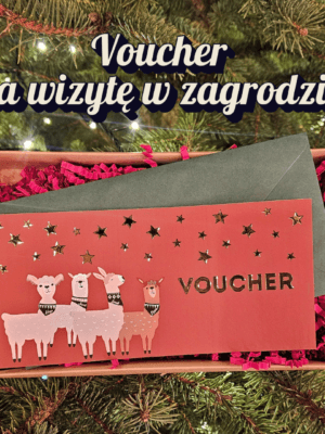 Voucher na wizytę w zagrodzie z alpakami – świąteczny prezent premium