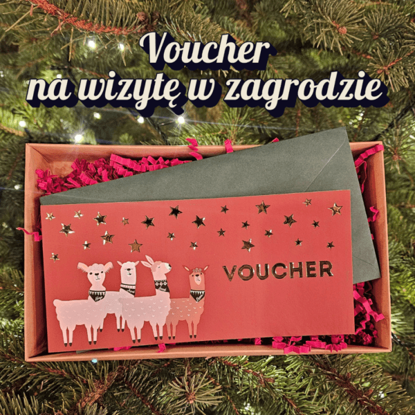 Voucher na wizytę w zagrodzie z alpakami – świąteczny prezent premium