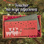 Voucher na sesję zdjęciową z alpakami