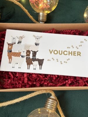 Voucher na spacer z alpakami