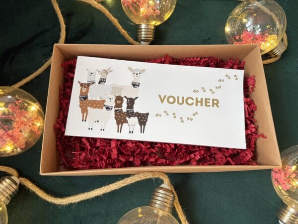 Voucher na spacer z alpakami