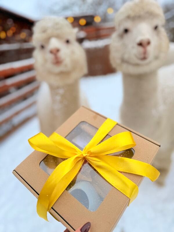 Prezent na Dzień Babci i Dziadka - woski sojowe i kominek