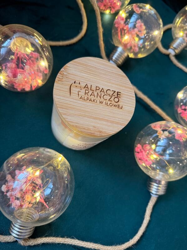 Świeca sojowa premium Dyniowy Krem Maślany