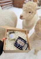 Prezent na Dzień Babci i Dziadka - świeca + kubek