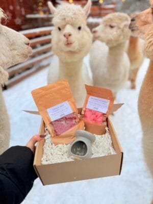 Prezent na Dzień Babci i Dziadka - woski sojowe i kominek