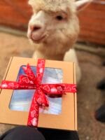 Prezent na Dzień Kobiet - 4 świece sojowe